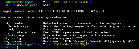 docker exec --help Output
