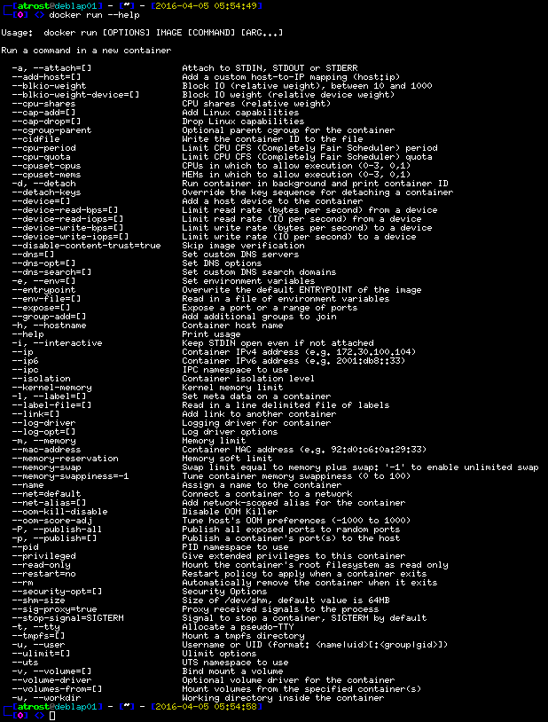 docker run --help Output